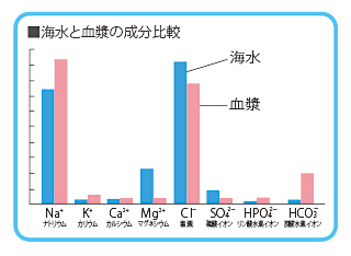 海水と血漿の成分比較