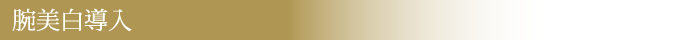 腕美白導入